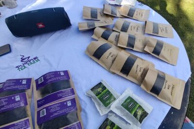 Purple Tea Farm Tour from Nairobi City – Specialty Tea Tasting