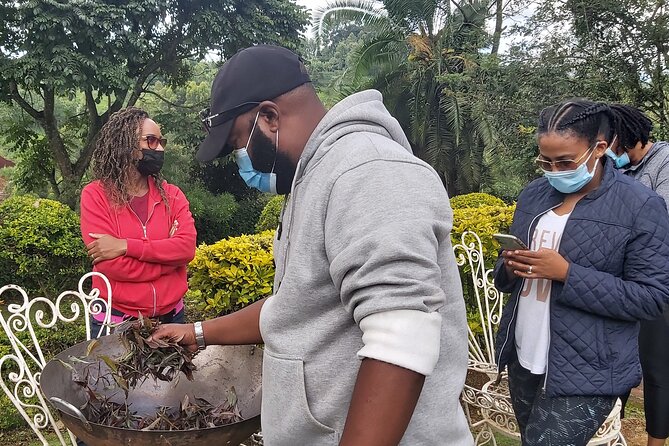 Purple Tea Farm Tour from Nairobi City - Specialty Tea Tasting - Who will enjoy this day most?