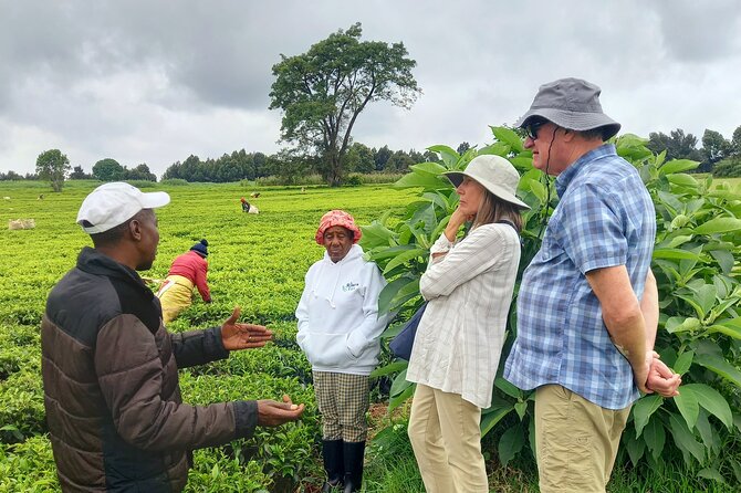 Riara tea farm tour with lunch and tea tasting from Nairobi - Why a tea farm makes a good Nairobi side trip