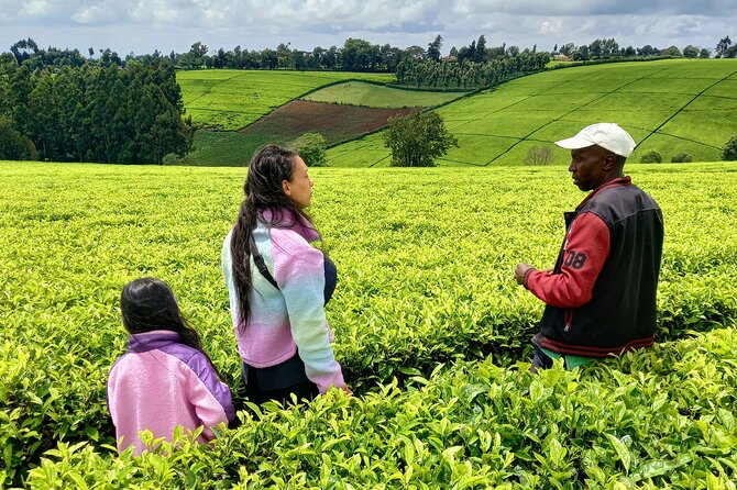 Riara tea farm tour with lunch and tea tasting from Nairobi - Lunch at the farm, including dietary options
