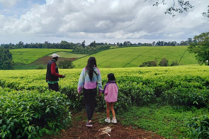 Riara tea farm tour with lunch and tea tasting from Nairobi - What the five-hour timing really means