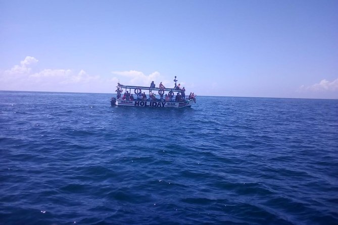 Safari blue - Looking for Dolphins in the Indian Ocean