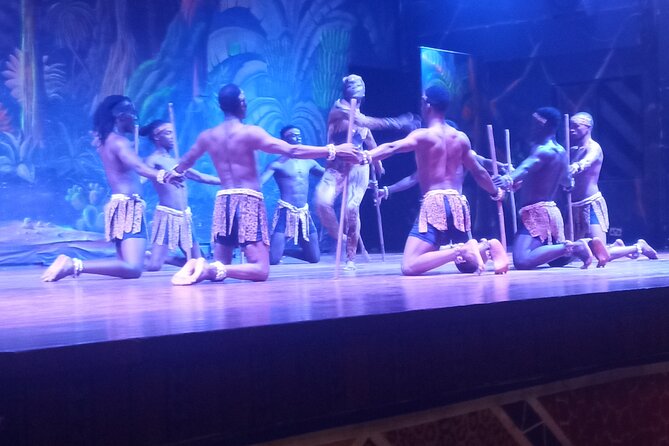 Safari Cat Dancers Show And Dinner - Is $99.75 good value?