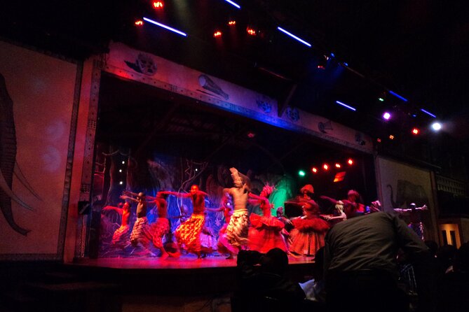 Safari Cat Dancers Show And Dinner - Who will enjoy this dinner show most?