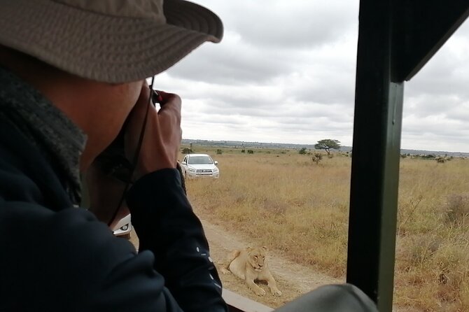 Safari In Nairobi Kenya National Park Half day Tour - The guide can make or break a four-hour drive
