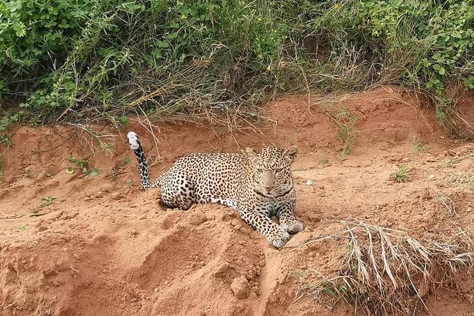 Safari Kenya with Patrick - Day two: another game drive, then an itinerary puzzle