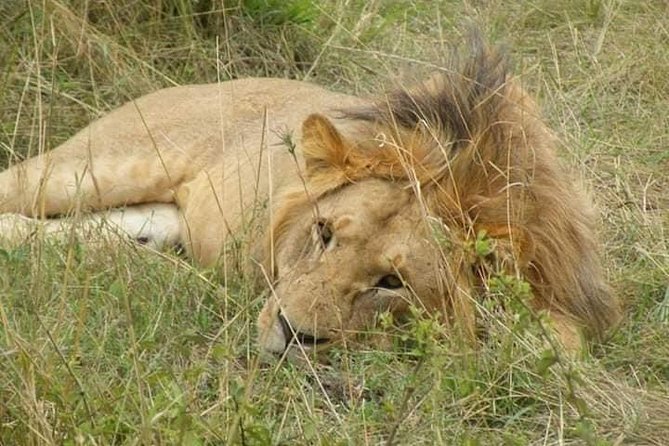 Safari Kenya with Patrick - Practical ways to get more from the two days