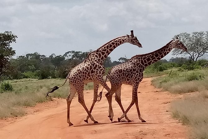 Safari Kenya with Patrick - The Maasai village visit and the human side of the trip