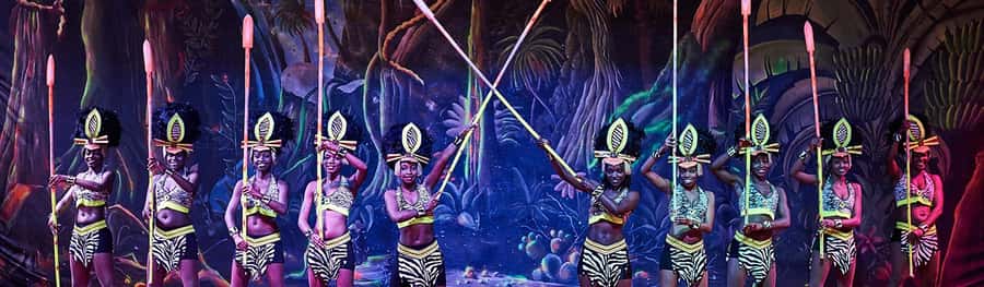 Safari Park Hotel Show & Dinner Experience In Nairobi Tour - Who will enjoy this evening most?
