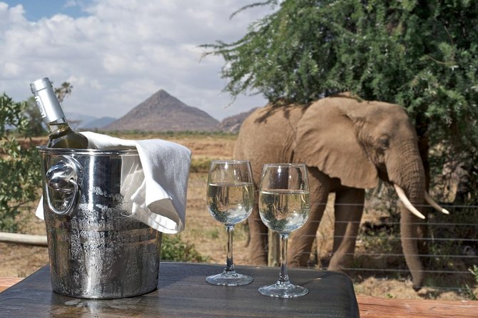 Samburu/ Aberdare/ Lake Nakuru/ Masai Mara 7 Days Safari - Day 7: One last drive, then back to Nairobi