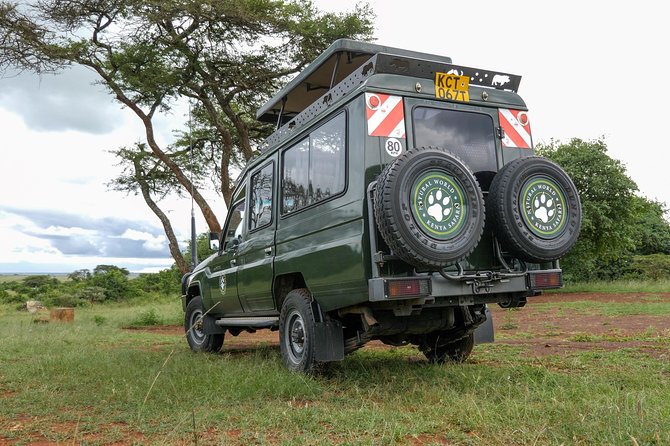 Samburu, Lake Nakuru & Masai Mara 6 Days Private 4x4 Jeep Safari - Day five: The full Maasai Mara game-viewing day