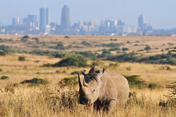 Shared Nairobi National Park Safari Tour - Key Points to Know Before You Book