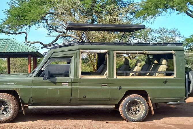 Shared Nairobi National Park Safari Tour - Five Hours of Searching for Wildlife