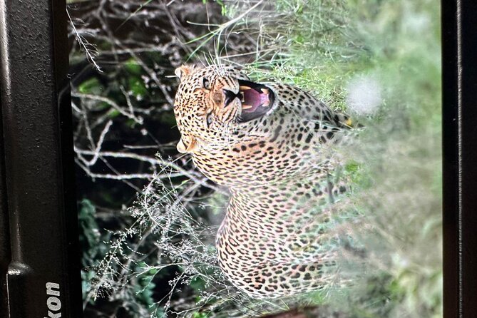 Shared Nairobi National Park Safari Tour - Who Will Like This Safari Most?