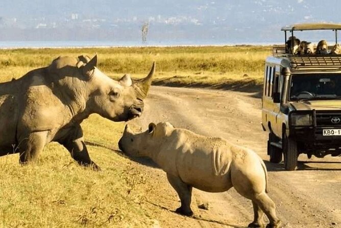 Shared Nairobi National Park Safari Tour - The Early Pickup and Ride Into the Park