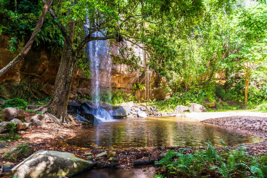 Shimba Hills Day Safari & Sheldrick Falls Hike Private Tour - Key points to know before booking