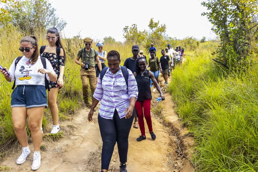 Shimba Hills Day Safari & Sheldrick Falls Hike Private Tour - Hiking to Sheldrick Falls through the forest