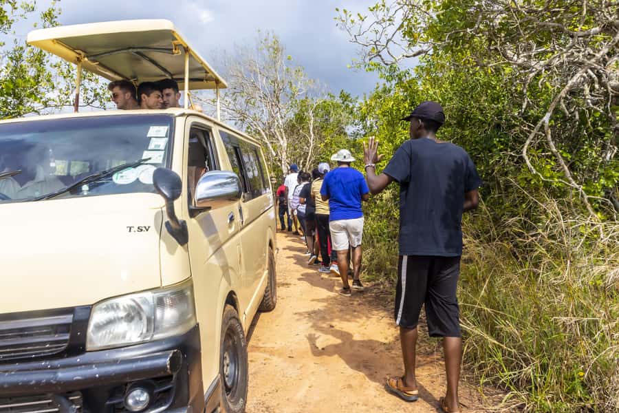 Shimba Hills Day Safari & Sheldrick Falls Hike Private Tour - Practical tips for a better day