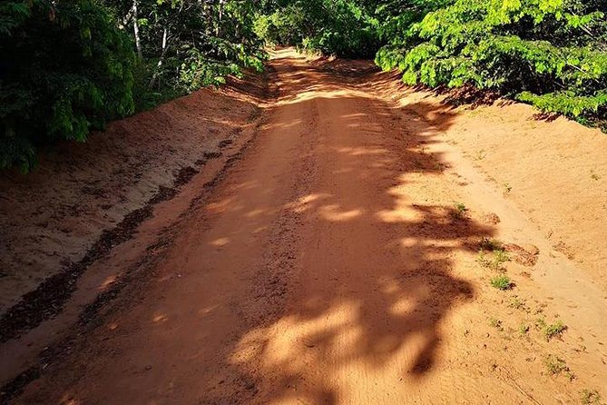 Shimba Hills Excursion - Key points to know before you book