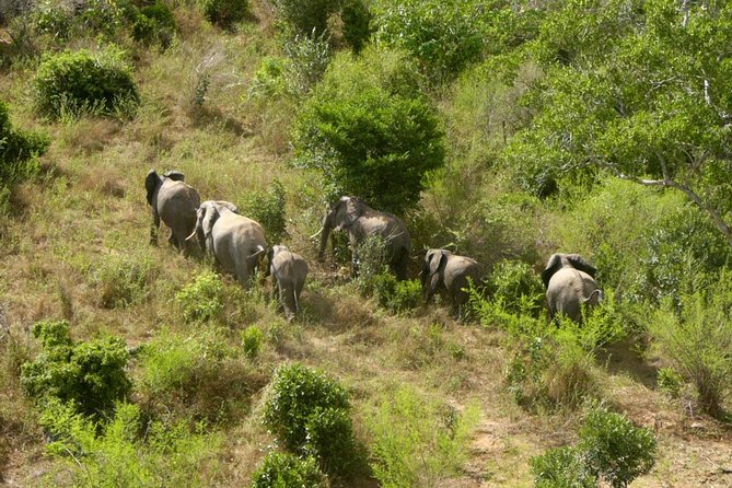 Shimba Hills Excursion - Who will enjoy this trip most