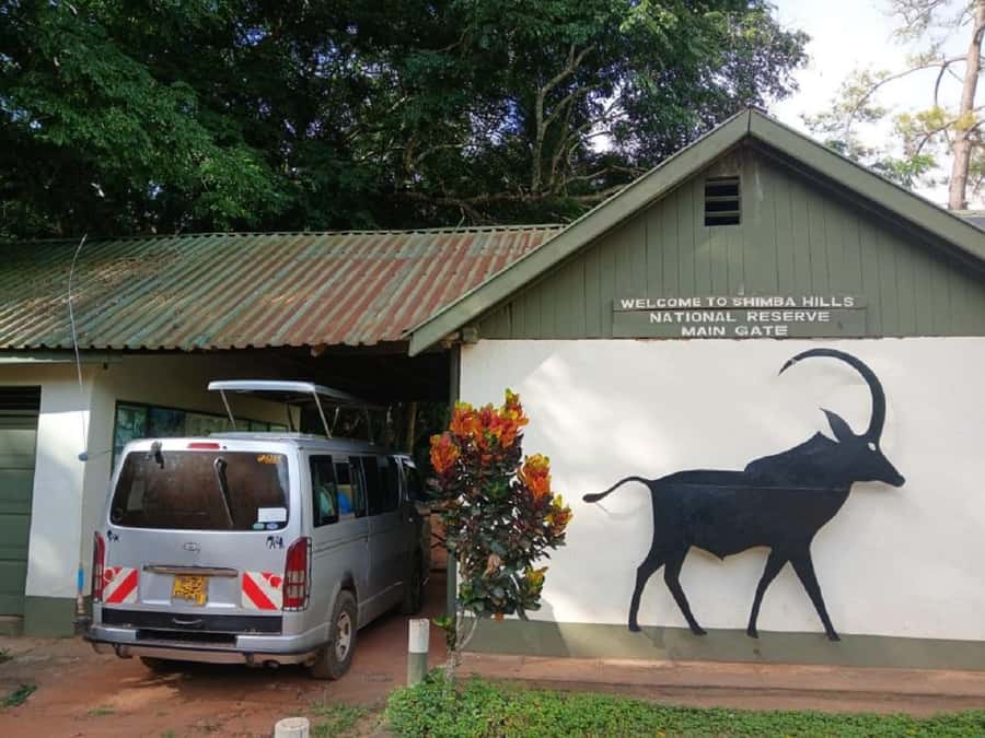 Shimba Hills: Game Drive, Waterfall Hike, and Lunch - Key reasons to consider this Shimba Hills day trip
