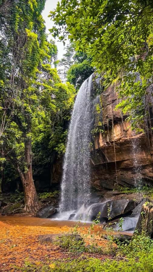 Shimba Hills: Game Drive, Waterfall Hike, and Lunch - Why Shimba Hills makes a good break from the coast