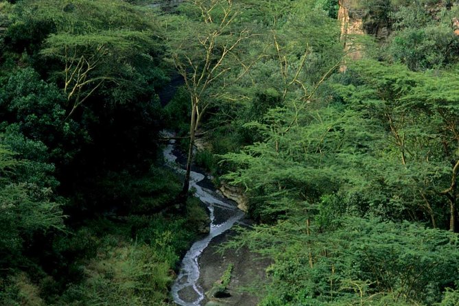 Small Group Budget Tour to Hells Gate National Park and Lake Naivasha Boat Ride - What the guides add to the park visit