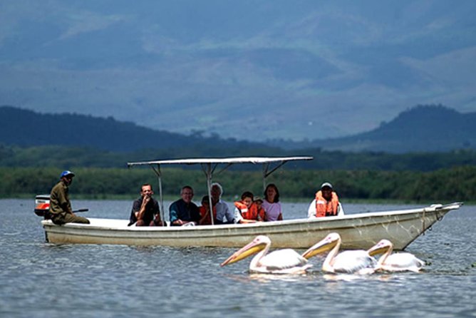 Small Group Budget Tour to Hells Gate National Park and Lake Naivasha Boat Ride - Is a group of up to 90 really small?