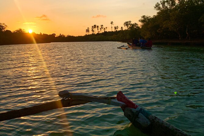 Sunset Canoe Tour on a River within the Mangroves - Reading the mangrove creeks as the light changes