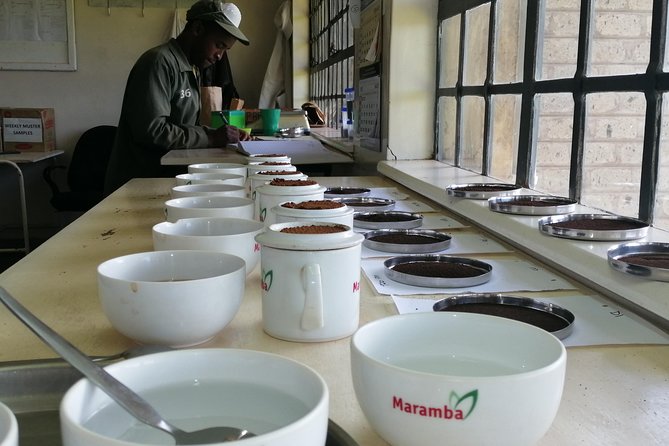Tea Farm Experience at Riara Tea Farm And Factory Tour - The scenery beyond the plantation