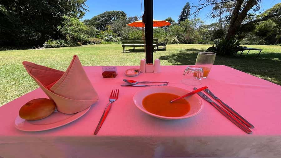 Tea Farm Tour From Nairobi (Kiambethu). - Key things to know before you book