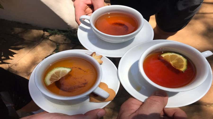 Tea Farm Tour From Nairobi (Kiambethu). - A calm country day from Nairobi