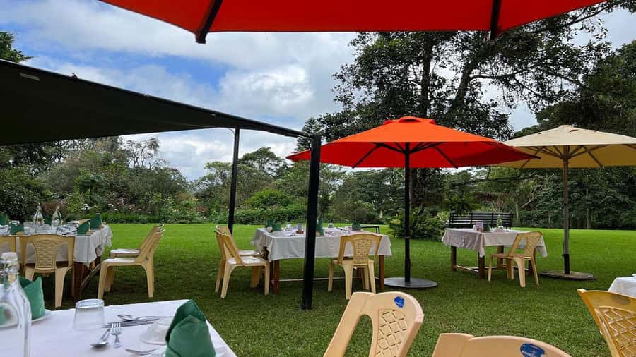 Tea Farm Tour From Nairobi (Kiambethu). - Verandah views toward the Ngong Hills