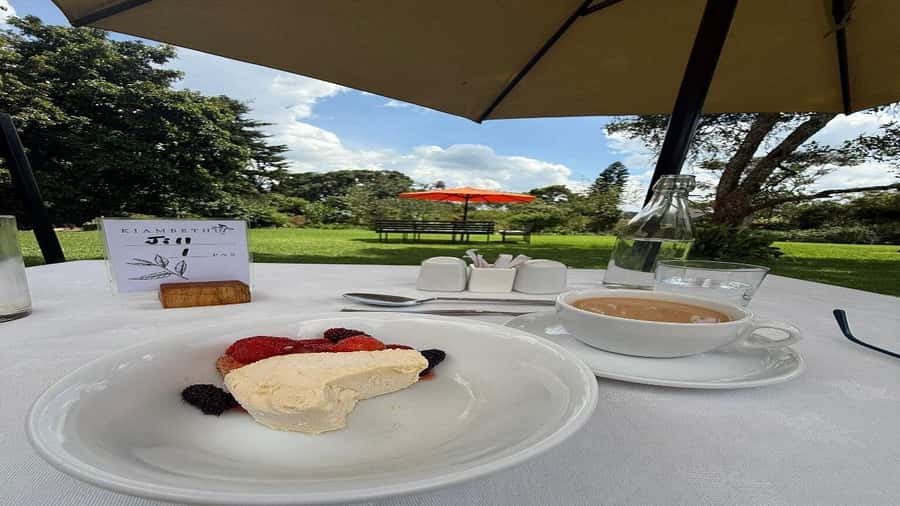 Tea Farm Tour From Nairobi (Kiambethu). - Transport, timing, and the Nairobi traffic factor