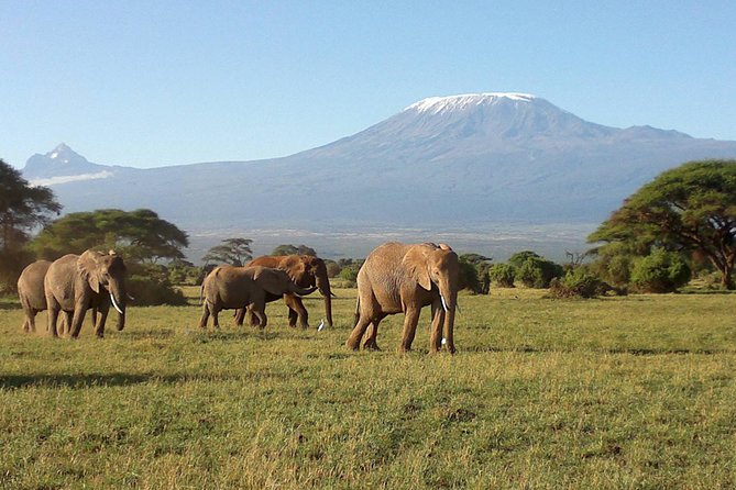Thrilling 6 Days Amboseli-Lake Nakuru-Maasai Mara Budget Safari - Why this route works in six days