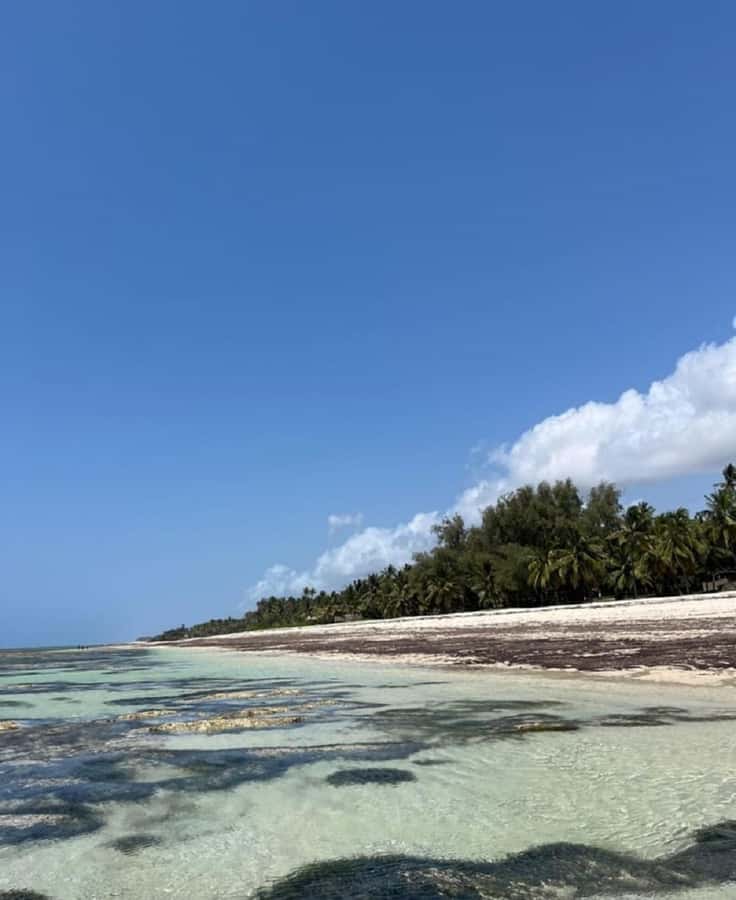 Tiwi Beach: Guided Tour to the African Pool - Walking the Coast to the African Pool