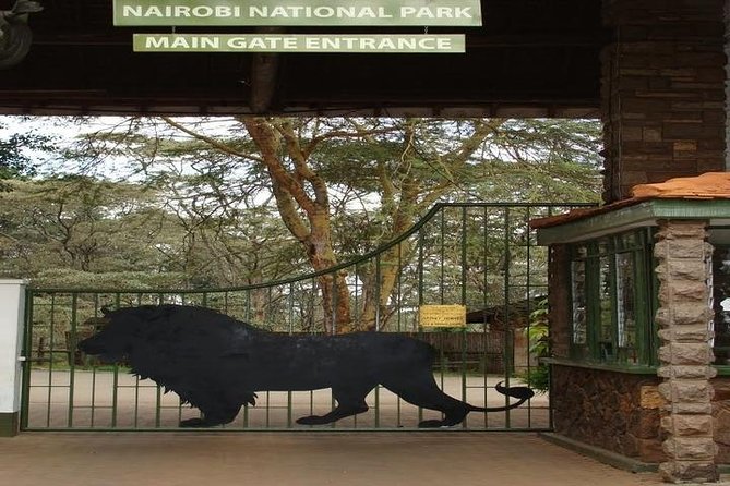 Tour: Giraffe Center and Nairobi National Park - The guide can make or break the day