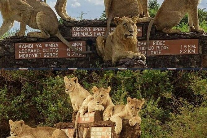 Tour Safari; Nairobi National Park - Who should book this Nairobi safari?