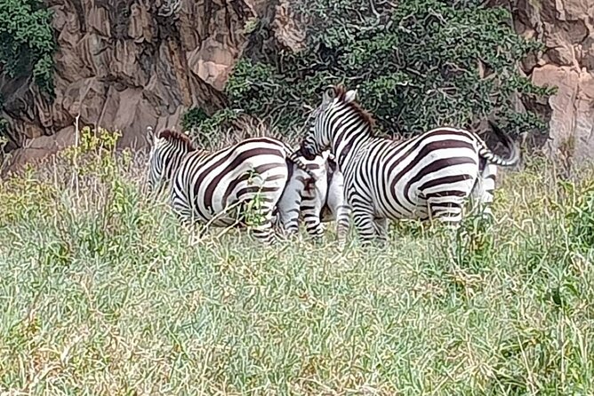 Tour to Hells Gate National park & L Naivasha boat ride - Guides and drivers make a practical difference