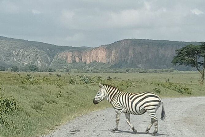 Tour to Hells Gate National park & L Naivasha boat ride - Walking the gorges beneath Hell’s Gate