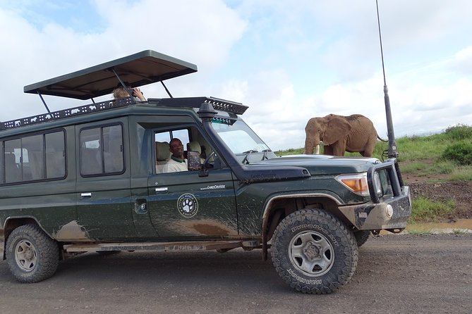 Tsavo East 1 Day Safari, Beach To Beach In 4wd Jeep - The midnight start and the Likoni ferry