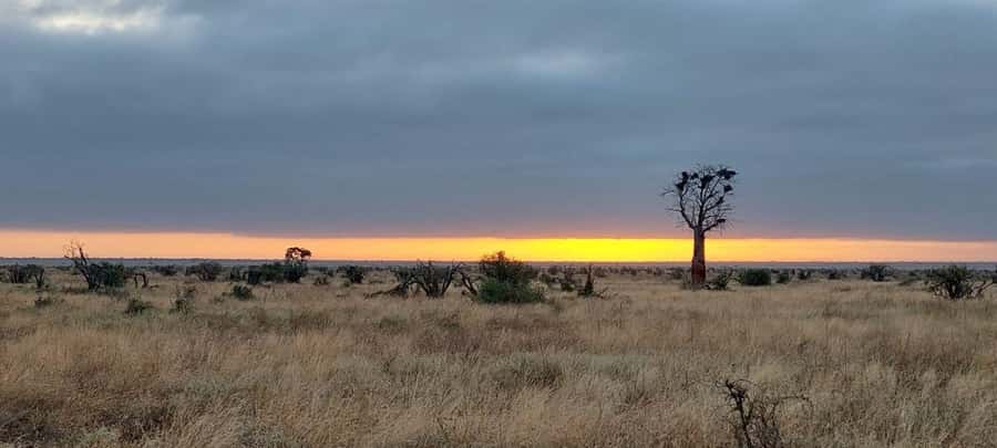 Tsavo East and Tsavo West Sanctuary Safari - Guides, languages, and the private format