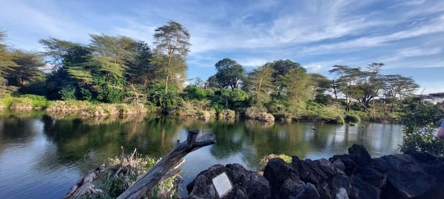 Tsavo East and Tsavo West Sanctuary Safari - The 06:00 departure from Diani or Mombasa