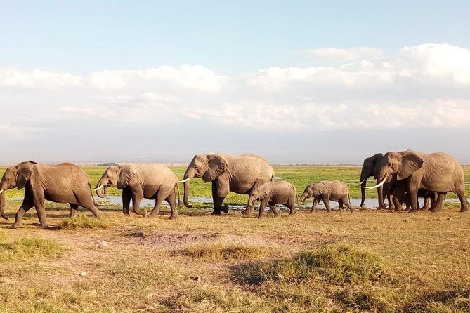 Tsavo East & west, Amboseli 5days from Mombasa - What the $1,100 price includes