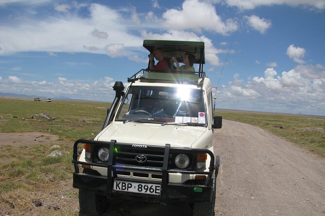 Ultimate 12 Days Private Safari Tour in Kenya and Tanzania - The safari at a glance