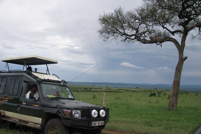Ultimate 12 Days Private Safari Tour in Kenya and Tanzania - Day 4: Into the Masai Mara