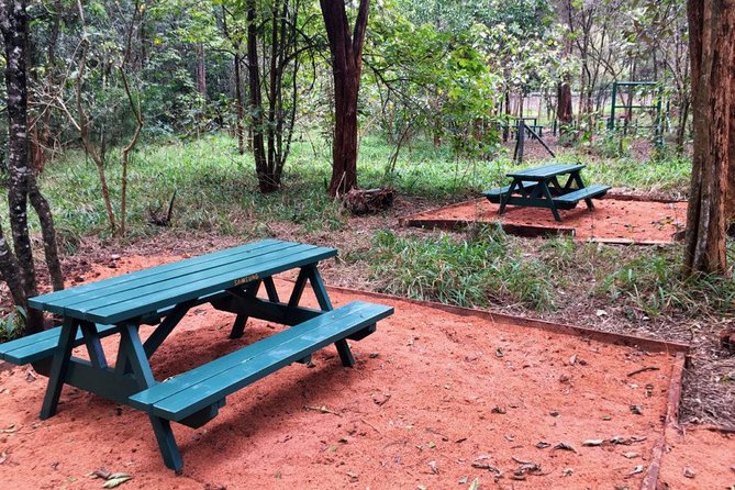 Urban Forest Tour in Nairobi - Why Karura Forest Makes a Good Nairobi Break