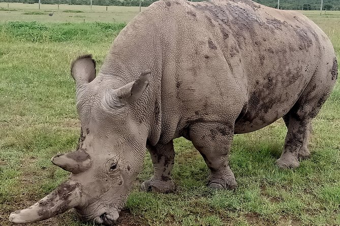 Vegans special safari - What the $3,076.93 price covers