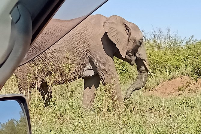 Vegans special safari - Lake Naivasha and Crescent Island by boat