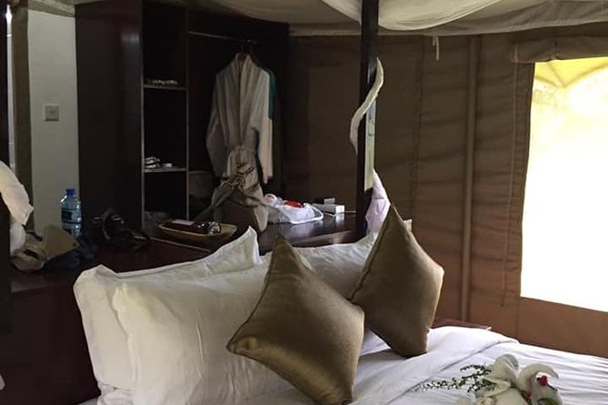 Vegans special safari - Two days of conservation at Ol Pejeta